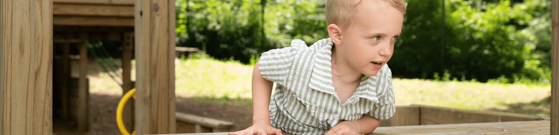 Hex Collection image